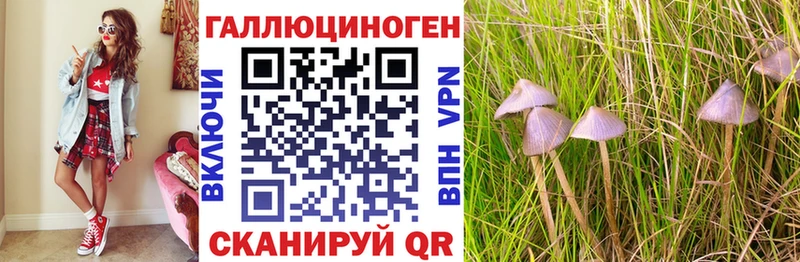Псилоцибиновые грибы MAGIC MUSHROOMS  как найти   Теберда 